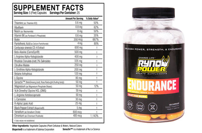 RYNO POWER FRUIT PUNCH ENDURANCE PLUS POWER PACKAGE